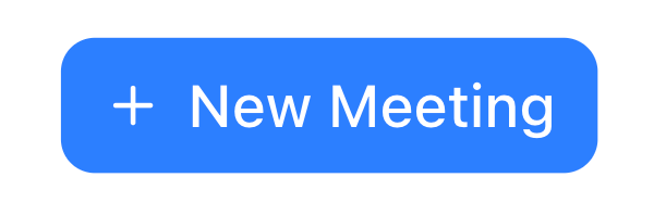 Meeting title and action buttons
