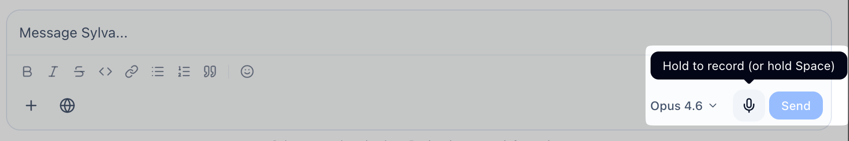 Start voice input