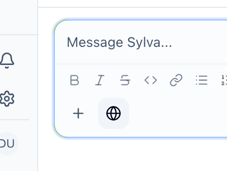 Web search toggle in the input bar